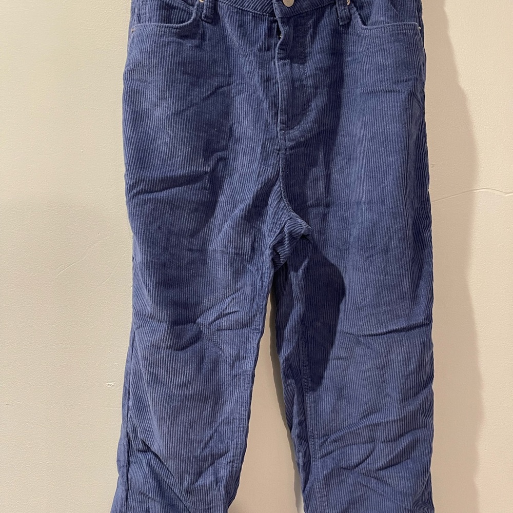 BDG/ URBAN OUTFITTERS corduroy pants size 28